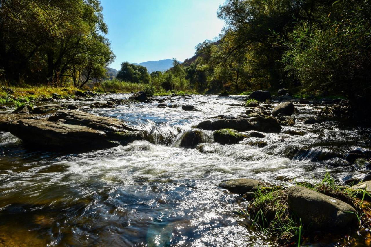 Belveder Eco Resort Dilican Dış mekan fotoğraf